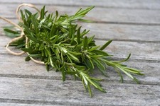 Rosemary herb plants for sale  Mcallen