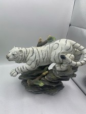 Siberian bengal white for sale  Elmwood Park