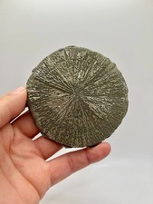 Extra thick perfect for sale  Sparta