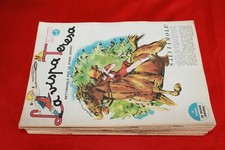 Rivista fumetto lotto usato  Villar Focchiardo