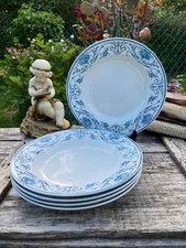 Assiettes creuses bfk d'occasion  Villeneuve-la-Guyard