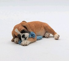 Sleeping boxer puppy for sale  Casa Grande