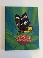 Butterfly painting 11x14 for sale  The Colony