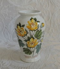 Vaso ceramica portmeirion usato  Pisa