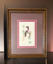 feathered art vintage birds for sale feathered art vintage birds for sale Tucson