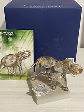 Swarovski scs cinta usato  Italia