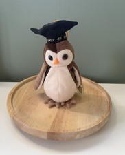 Wise owl beanie for sale  BIGGLESWADE