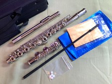 Beautiful new nickel for sale  Jersey City
