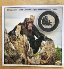 chimpanzee for sale chimpanzee for sale ABERDEEN