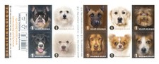 Fauna. cane 2014. usato  Milano