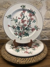 Lot assiettes plates d'occasion  Sainte-Soulle
