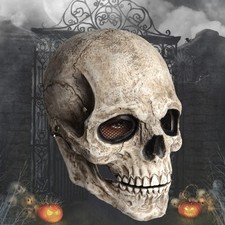 Full head skull for sale  BIRMINGHAM