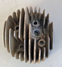 Testa originale logo usato  Torre di Mosto