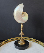 Nautile nacré socle d'occasion  Paris XI