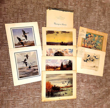 Wildlife hunting prints for sale  New Richmond