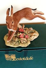 Teviotdale brown hare for sale  SEATON