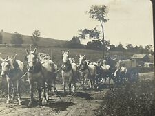 Antique photo woodbury for sale  Burlington