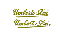 Adesivi bici adesivi usato  Ardea