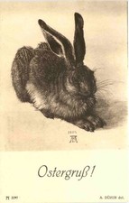 Stern hase dürer gebraucht kaufen  Eimeldingen