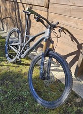 Specialized works stumpjumper gebraucht kaufen  Beratzhausen