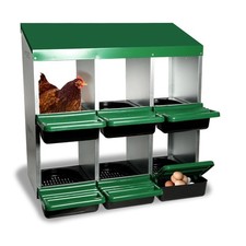 egg laying hens for sale  Brentwood