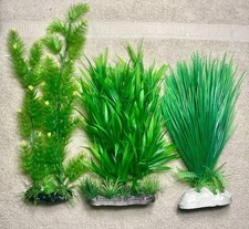 Aquarium plants lot d'occasion  Expédié en Belgium