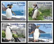 TRISTAN DA CUNHA 2023 PÁJAROS PINGÜINOS PÁJAROS PÁJARO PÁJARO AVES AVES segunda mano  Embacar hacia Argentina