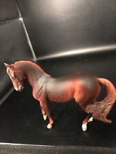 Stablemate size marwari for sale  Wheat Ridge