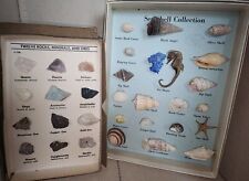 Especímenes etiquetados vintage, rocas, minerales, conchas marinas,  segunda mano  Embacar hacia Mexico