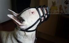 Focinho de cachorro de couro leve para Bull Terrier Inglês e outros focinhos semelhantes, usado comprar usado  Enviando para Brazil