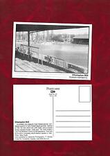 Postcard dulwich hamlet for sale  WELLING