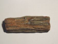 Fossil petrified wood for sale  Asheville