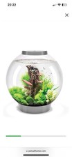 Biorb 30l fish for sale  BECKENHAM