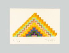 Joe tilson ziggurath usato  Vasto