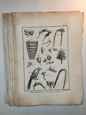 Enciclopedie diderot 1752 usato  Firenze