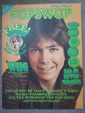 Popswop david cassidy for sale  WHITSTABLE