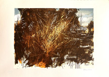 Antonio pedretti serigrafia usato  Arcisate