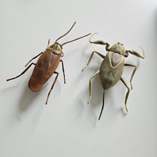 Hexbug käfer kakerlake gebraucht kaufen  Gehrden