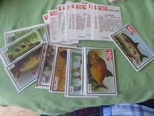 fish lots for sale fish lots for sale BURGESS HILL