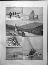 Old print sport for sale Old print sport for sale  UK