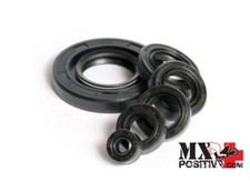 Kit paraoli motore usato  Italia