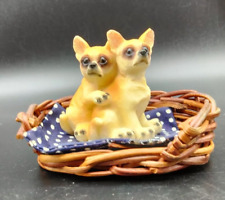 miniature puppy chihuahua for sale miniature puppy chihuahua for sale Inverness