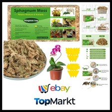 terrarium sand gebraucht kaufen  Dülmen