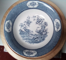 Yang tse newport for sale  TORQUAY