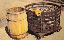 Primitive blue crabs for sale  Palm Bay