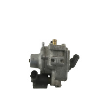 67r 010286 polmone usato  Castagnaro