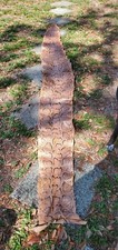 snakes boa constrictor for sale snakes boa constrictor for sale Davenport