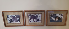 Lynx cougar cat for sale  Clovis