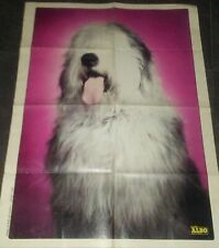 Poster albo dell usato  Messina