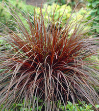 grass hook for sale grass hook for sale SALE
